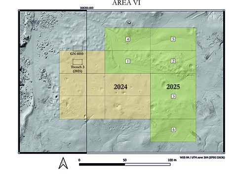 Areas surveyed by ground-penetrating radar (GPR) in the Southern Cemetery in 2024 and 2025 (M.A. Lebedev)